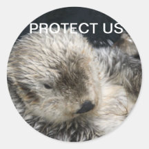 PROTECT US Stickers