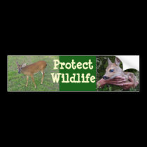 Protect Wildlife bumper stickers