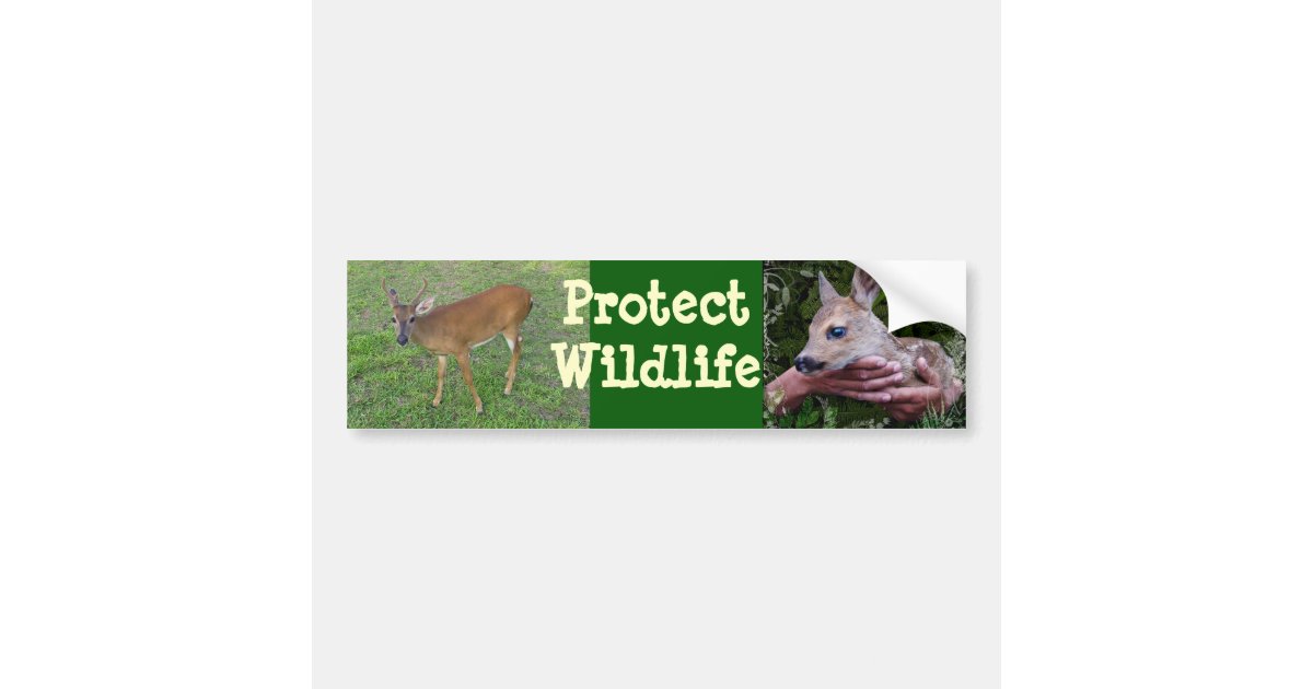 Protect Wildlife Bumper Sticker Zazzle