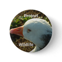 Protect Wildlife | buttons