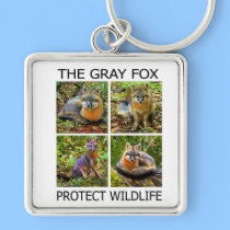 PROTECT WILDLIFE KEY CHAIN keychains