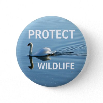 protect the wildlife