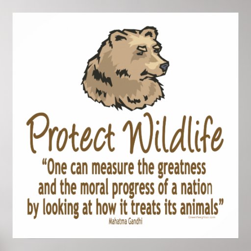 Protect Wildlife, Ursus, Bears Print