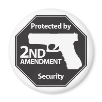 Protected by 2nd Amendment Magnets