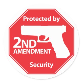 protected_by_2nd_amendment_red_sticker-p217239832642505903en7l1_216.jpg?max_dim=328