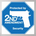 Protected by 2nd AMENDMENT Security Print