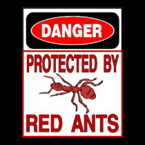 Protected By Red Ants posters