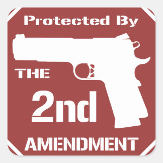 172+ Protected By The Second Amendment Stickers and Protected By The