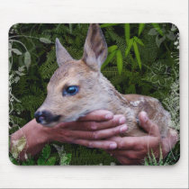 "Protected" mousepads