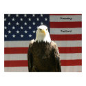Protecting Freedom Poster posters
