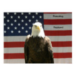 Protecting Freedom Poster