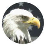 Protecting Liberty Sticker