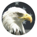 Protecting Liberty stickers by libertyshaven Protecting Liberty stickers