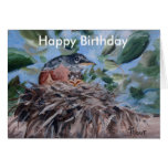 bird, robin, songbird, nest, robin on nest, baby