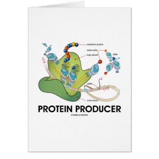 Protein Producer (Biology Protein Synthesis) Cards