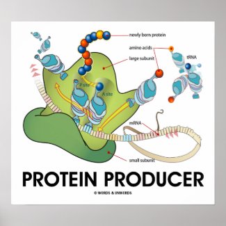 Protein Producer (Molecular Biology) Poster
