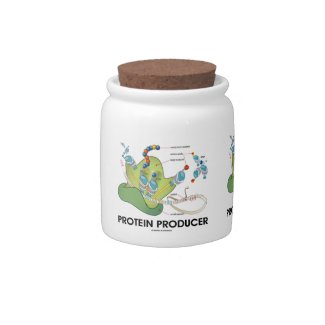 Protein Producer (mRNA tRNA Protein Synthesis) Candy Jar