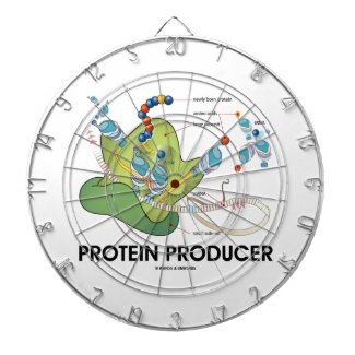 Protein Producer (mRNA tRNA Protein Synthesis) Dartboards