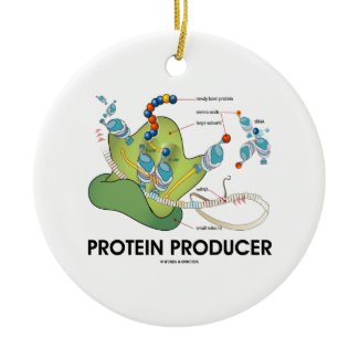 Protein Producer (mRNA tRNA Protein Synthesis) Christmas Tree Ornament