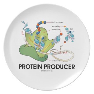 Protein Producer (mRNA tRNA Protein Synthesis) Plate