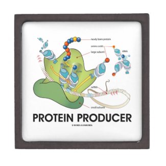 Protein Producer (mRNA tRNA Protein Synthesis) Premium Gift Box
