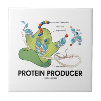 Protein Producer (mRNA tRNA Protein Synthesis) Tile