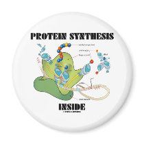 Protein Synthesis Inside (Cell Biology) Magnet
