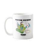 Protein Synthesis Inside (Cell Biology) mugs
