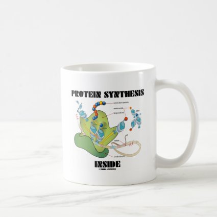 Protein Synthesis Inside (Cell Biology) Mug