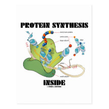 Protein Synthesis Inside (Cell Biology) Post Card