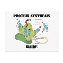 Protein Synthesis Inside (Cell Biology) Post Cards