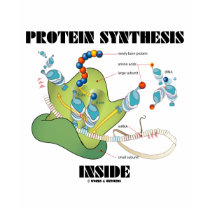 Protein Synthesis Inside (Cell Biology) t-shirts