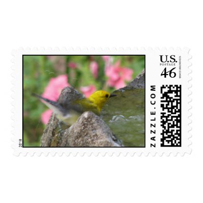 Prothonotary Bath II Postage by naturegirl7