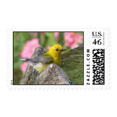 Prothonotary Bath III Postage by naturegirl7
