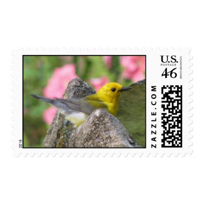 Prothonotary Bath Postage by naturegirl7