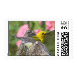 Prothonotary Bath Postage stamp