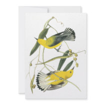 Prothonotary Warbler, John Audubon Personalized Invitation