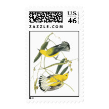 Prothonotary Warbler, John Audubon Postage