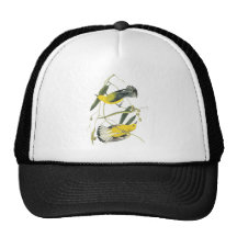 Prothonotary Warbler, John Audubon Trucker Hat
