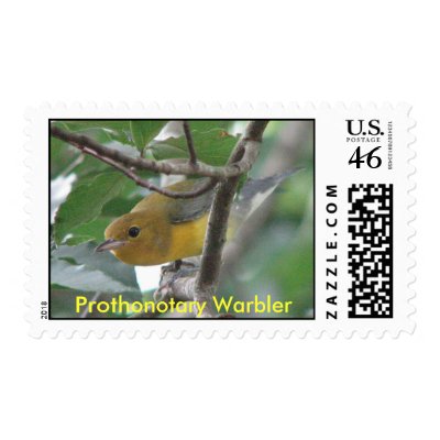 Prothonotary Warbler Postage by naturegirl7
