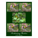 Prothonotary Warblers posters by naturegirl7 Prothonotary Warblers posters