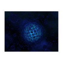 Protist posters by digitalblasphemy Protist posters