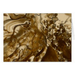 Protozoa Cards