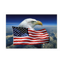 Proud American Eagle posters by shecatrk Proud American Eagle posters