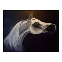Proud Arabian Stallion posters by Blunderosa Proud Arabian Stallion posters