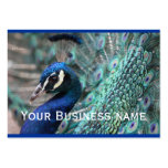 Proud as a Peacock business cards
