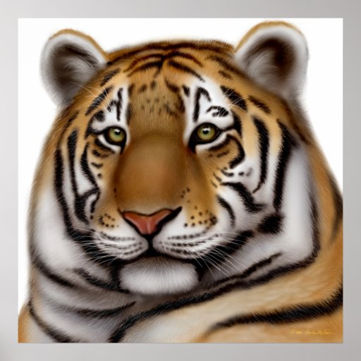 Proud Bengal Tiger Print | Zazzle
