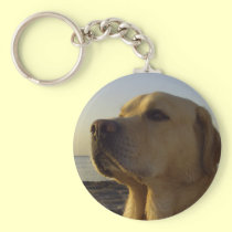 Proud boy keychains