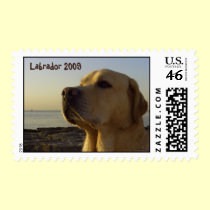 Proud Boy - Labrador for 2009 postage