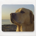 Proud boy mousepads
